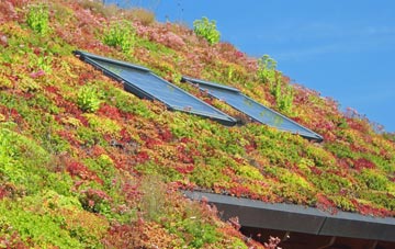Rhos Haminiog living roof systems